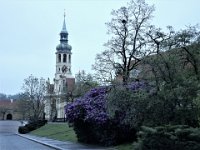 DSCN0252