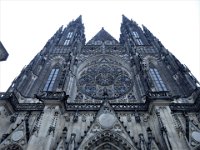 DSCN0282