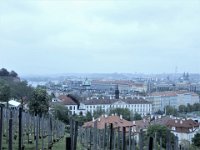 DSCN0373