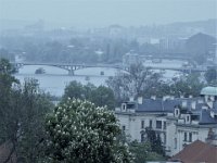 DSCN0374