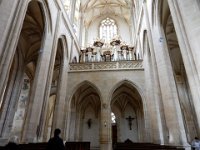 DSCN0785